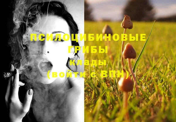 кокаин перу Новозыбков
