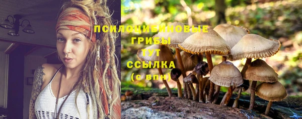 мдма Нефтекумск