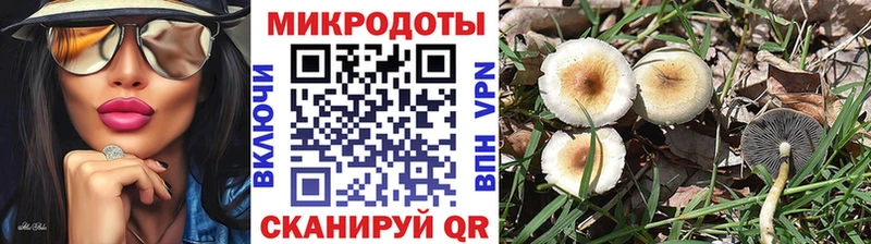 Псилоцибиновые грибы Cubensis  магазин продажи наркотиков  Костомукша 