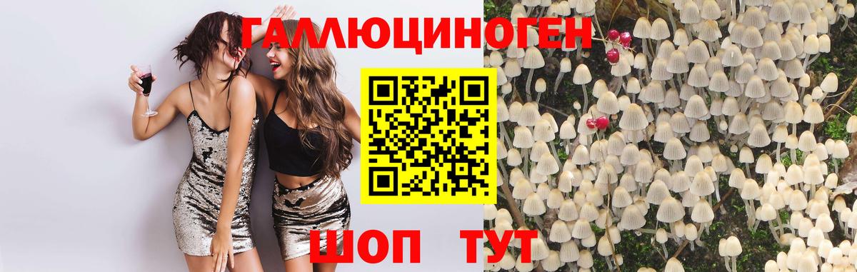Галлюциногенные грибы ЛСД  Вход с VPN  Костомукша 