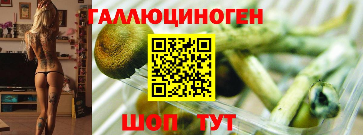 Галлюциногенные грибы мухоморы Костомукша